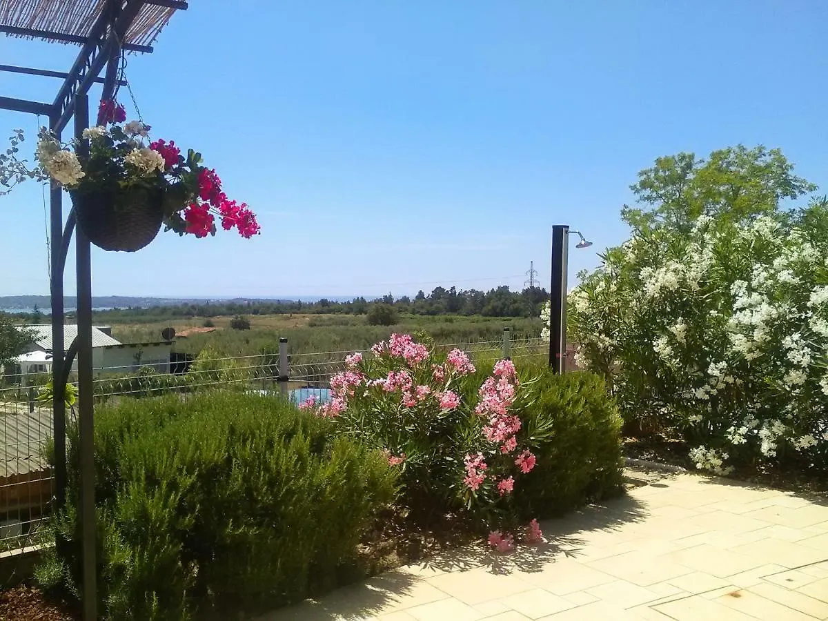 Villa Aleksandra Novigrad Istria クロアチア